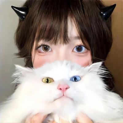 街霸双雄